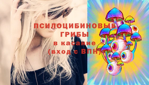 герыч Новозыбков