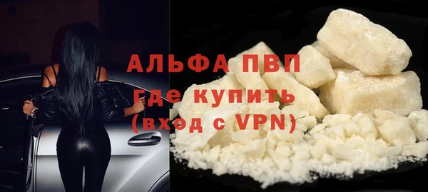 гидра Новокубанск