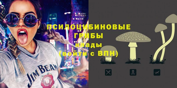 гидра Новокубанск